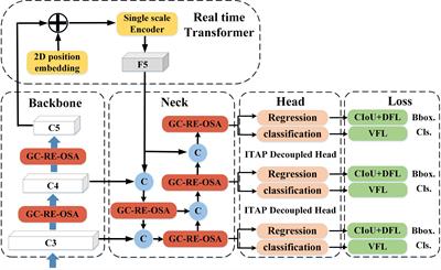 Real-time and lightweight detection of grape diseases based on Fusion Transformer YOLO